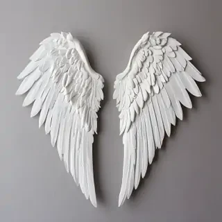 picture of angel wings