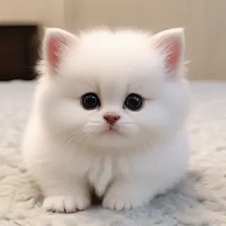 cute pic image
