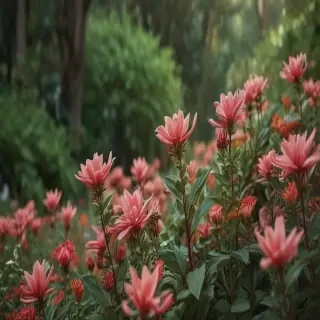 plants zoom backgrounds