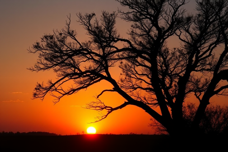 Sunset landscape with a silhouetted tree in the foreground and a vibrant orange sun setting on the horizon, captured with a DSLR camera, 50mm lens, aperture f/8, ISO 100, and a low angle view for enhanced depth and clarity.