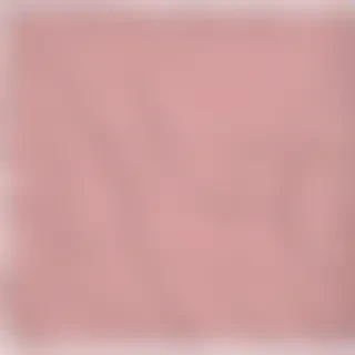 blanket png