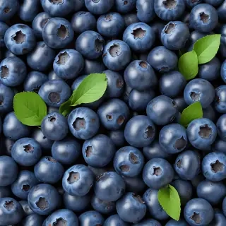blueberry png
