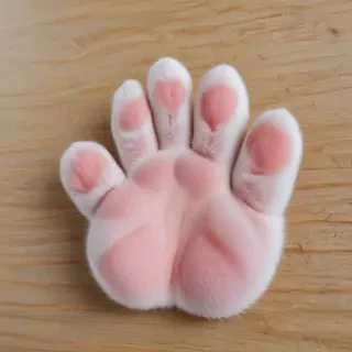 cat paw