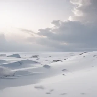 white bg