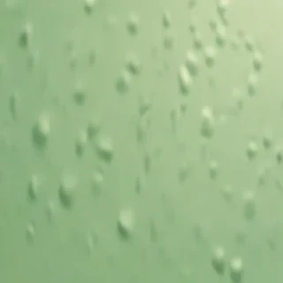 plain light green background