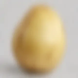 potato transparent