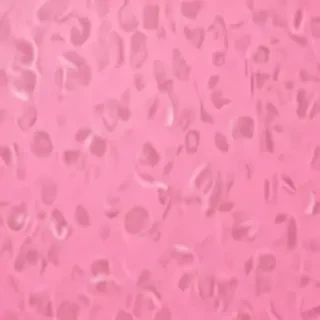 pink zoom background