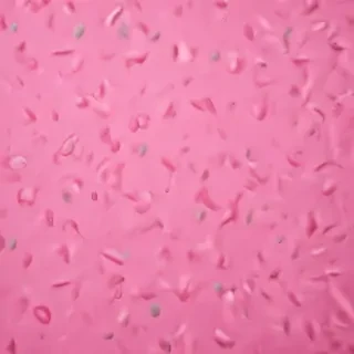 pink wallpapers
