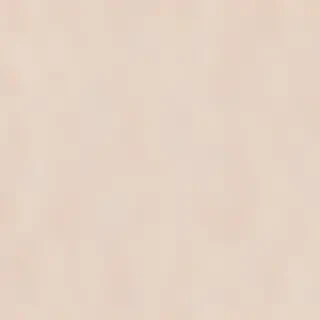 neutral aesthetic background