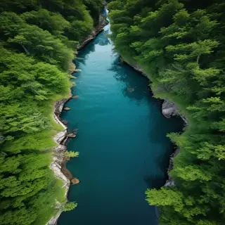 nature iphone background