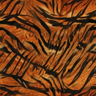 tiger stripes png