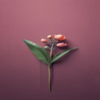 minimalist wallpapers iphone