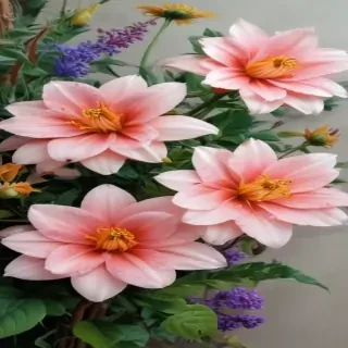 flowers pictures drawing