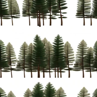pine tree transparent