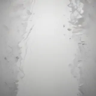 white grey background