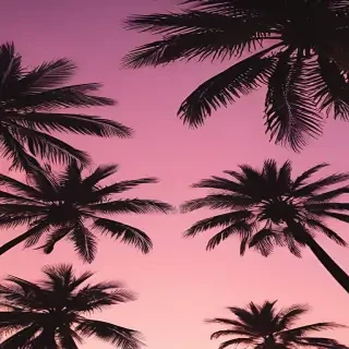 aesthetic palm tree wallpaper