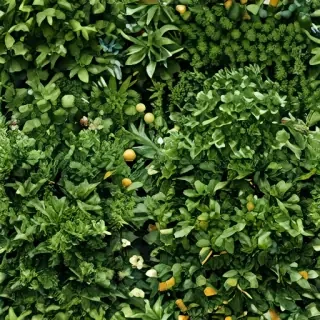 shrub png