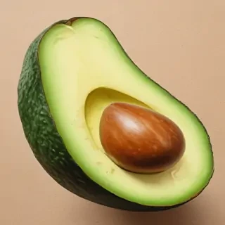 avocado drawing