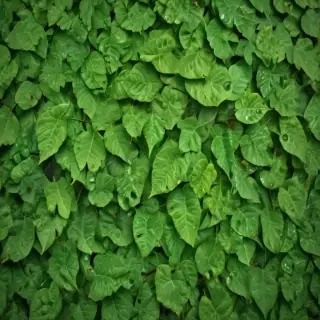 leaf background green
