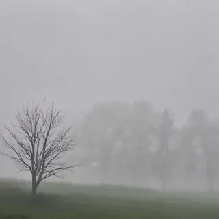foggy background