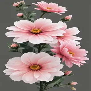 aesthetic flowers transparent