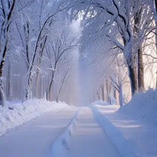 snow wallpaper iphone