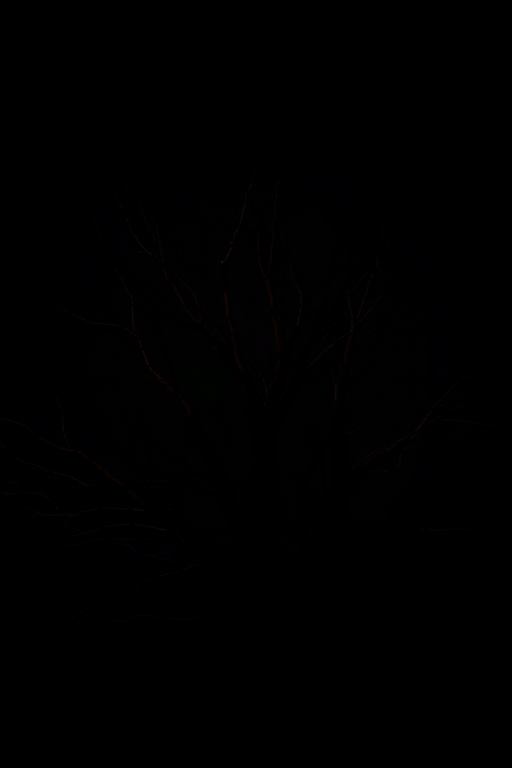 High-resolution image of a dark silhouette of a tree with intricate branches and sparse leaves against a black background, captured with a Canon EOS 5D Mark IV, 50mm lens, f/1.8 aperture, ISO 100, and a shallow depth of field for enhanced detail and contrast.