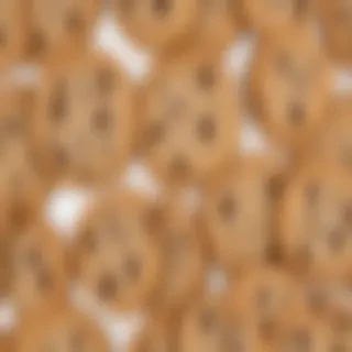 chocolate chip cookies png