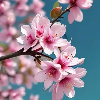 spring iphone wallpaper