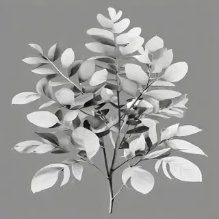 eucalyptus clipart black and white