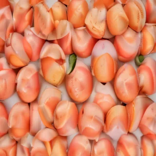 peach color background