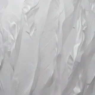transparent paper texture