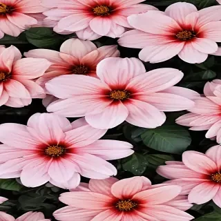 iphone wallpaper flower background