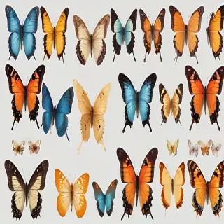 butterflies png transparent