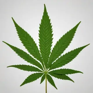 pot leaf png