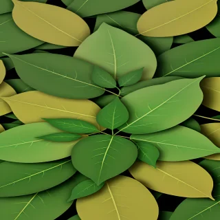 leaves png transparent