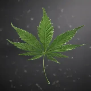 marijuana leaf transparent background