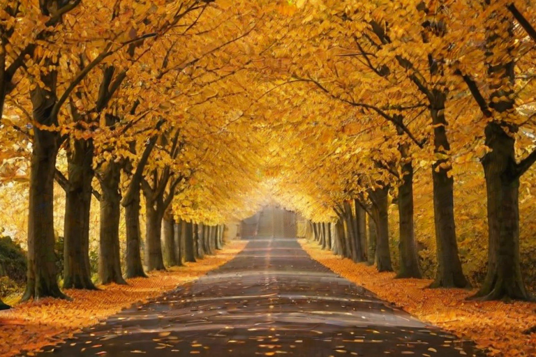 fall zoom backgrounds free