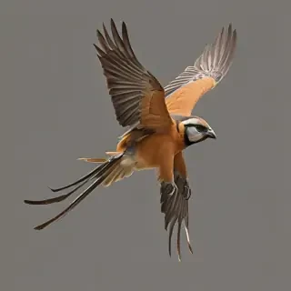 bird flying png