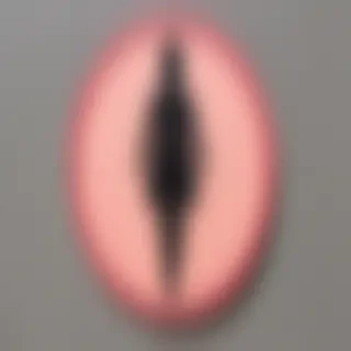 female sign