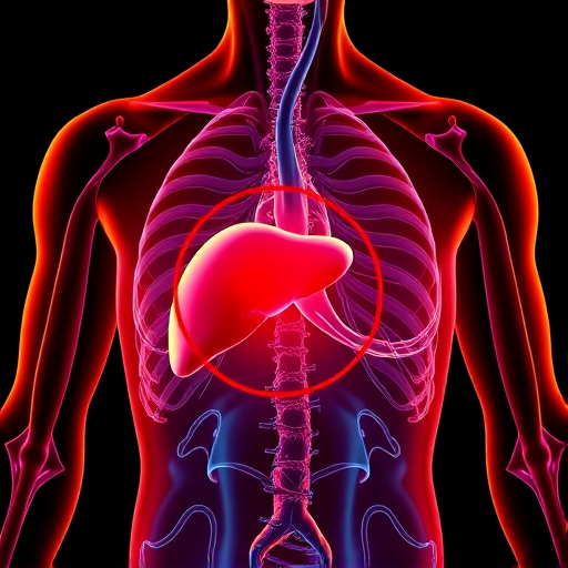 Create a high-resolution 3D anatomical illustration of a human torso highlighting the liver with a circular red overlay, using a Canon EOS R5 camera, 24-70mm f/2.8 lens, f/8 aperture, 1/60 sec shutter speed, and ISO 100, with a focus on vibrant colors and fine details.