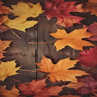 fall iphone background