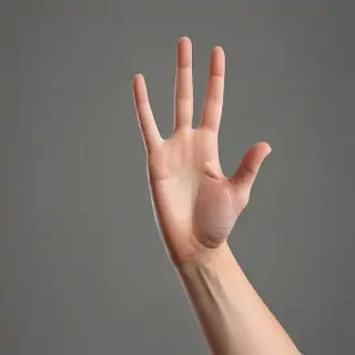 hand reaching png