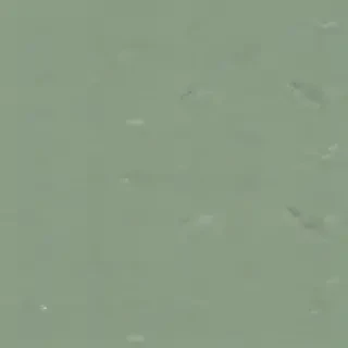 sage green aesthetic background