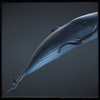 blue whale png