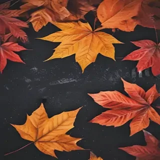 fall wallpapers iphone