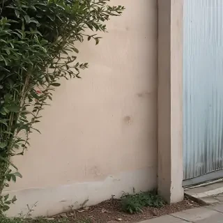 border aesthetic
