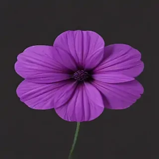 purple flower png