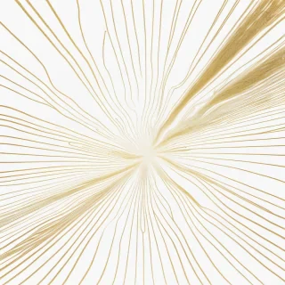 gold lines