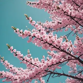 aesthetic spring wallpapers
